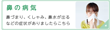 鼻の病気　鼻づまり、くしゃみ、鼻水が出るなどの症状がありましたらこちら